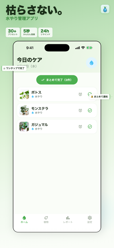 みずまる